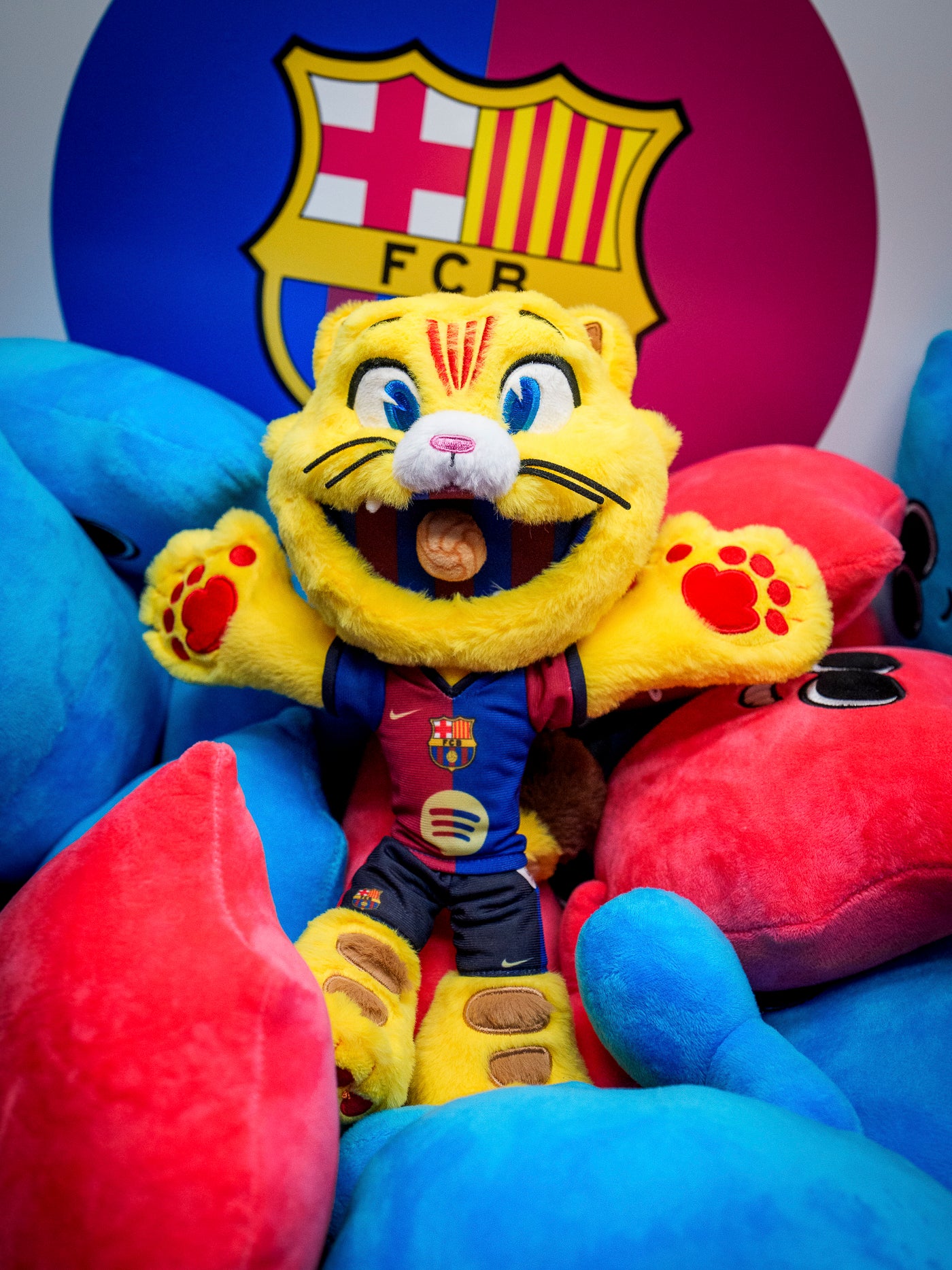 Teddy Cat Official FC Barcelona