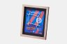 FC Barcelona original net