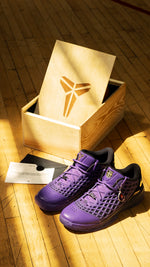 Nike Kobe III Low Protro Sneaker FC Barcelona x Kobe Bryant