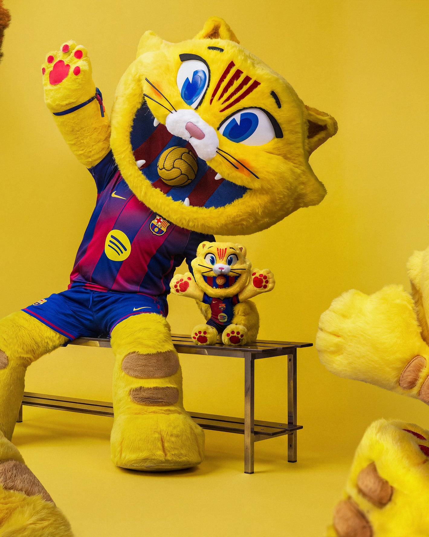 Yellow cat mascot in a sports jersey on a yellow background