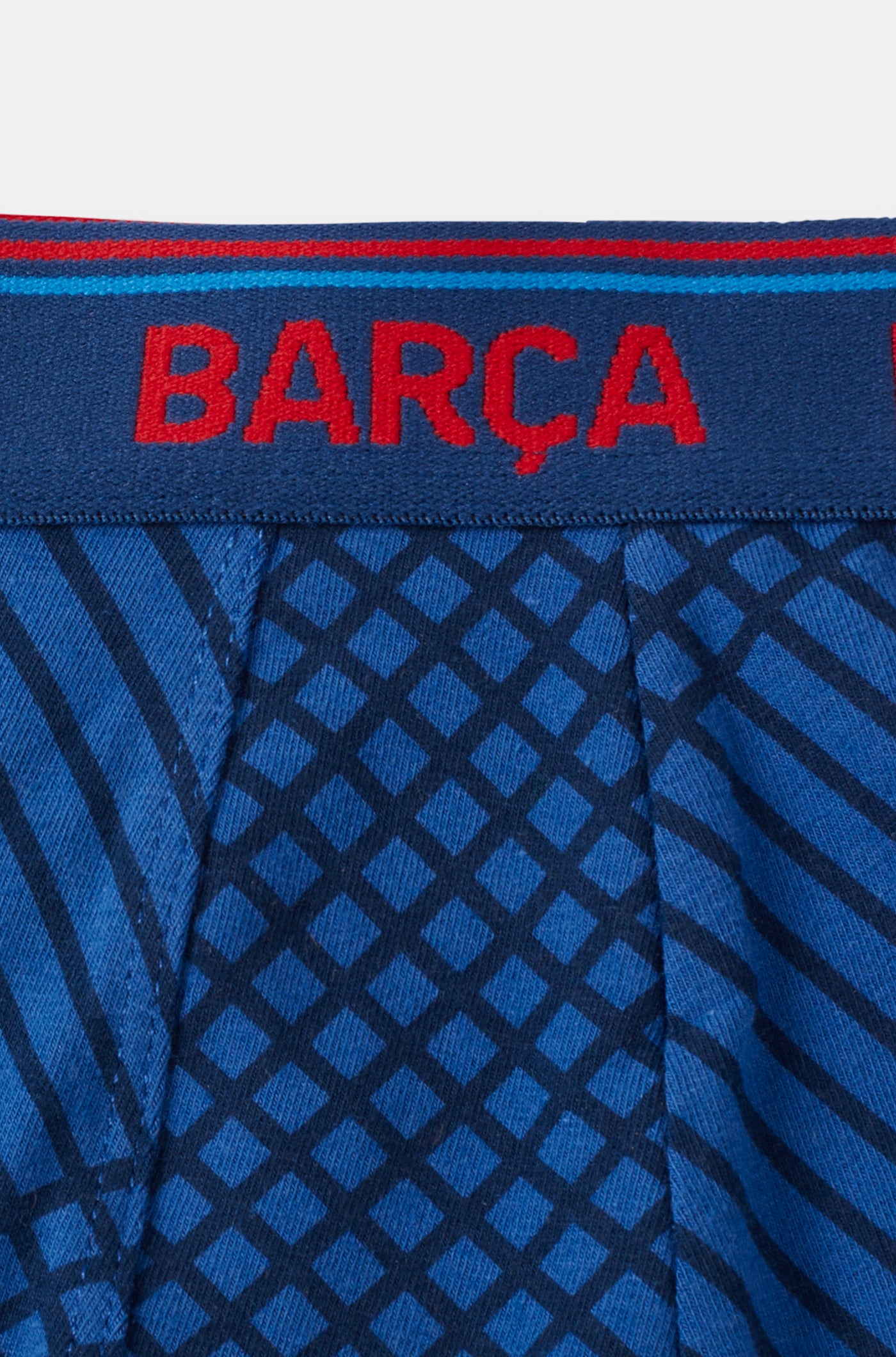 FC Barcelona boxer