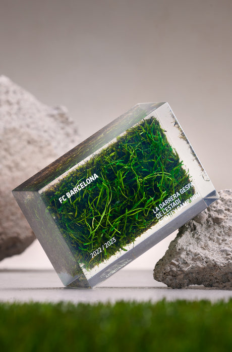 Rectangular acrylic display block encasing a preserved piece of grass from FC Barcelona's stadium. The block is engraved with the text "FC BARCELONA", "2022 / 2023", and "LA DARRERA GESPA DE L'ESTADI, FONT CAMP NOU", commemorating the last season played at the historic Camp Nou before renovations.









