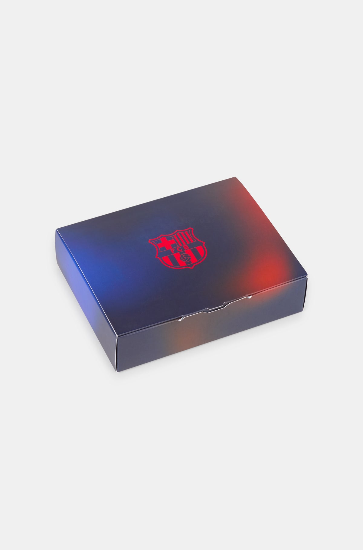 Rectangular acrylic display block encasing a preserved piece of grass from FC Barcelona's stadium. The block is engraved with the text "FC BARCELONA", "2022 / 2023", and "LA DARRERA GESPA DE L'ESTADI, FONT CAMP NOU", commemorating the last season played at the historic Camp Nou before renovations.
