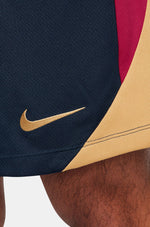 FC Barcelona obsidian training shorts 23/24