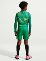Junior goalkeeper home shorts 26/27